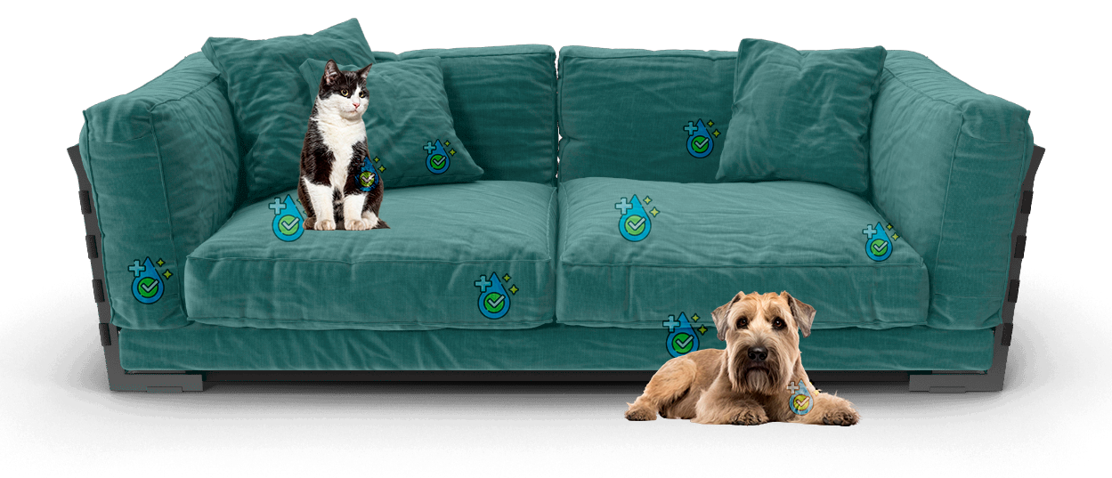 sofa limpio