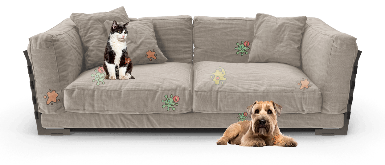 sofa sucio