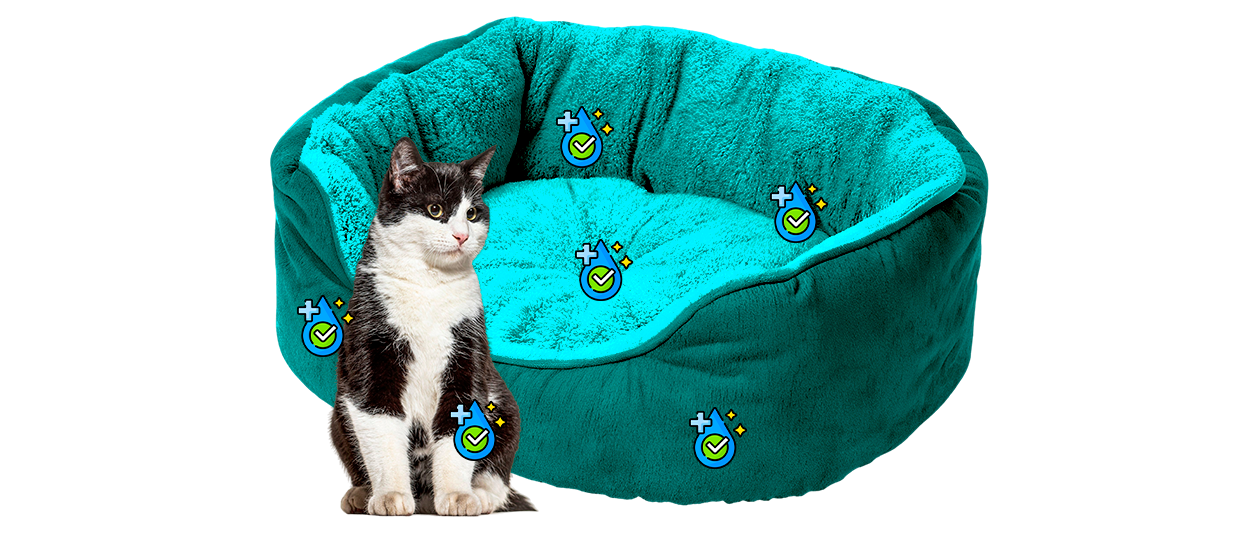 zympys cama limpia